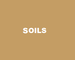 SOILS